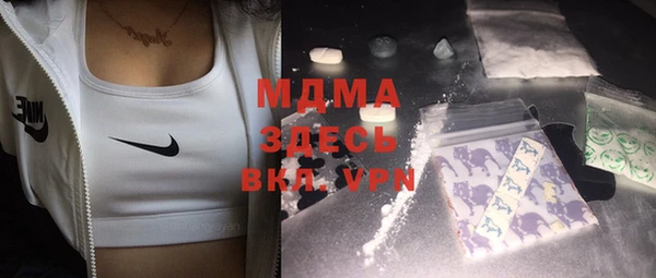 МДПВ Инсар