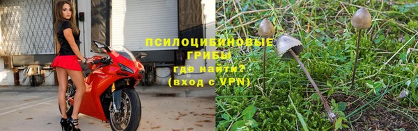 МДПВ Инсар