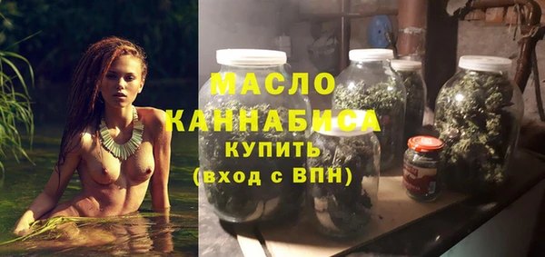 МДПВ Инсар
