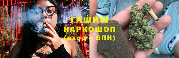 МДПВ Инсар