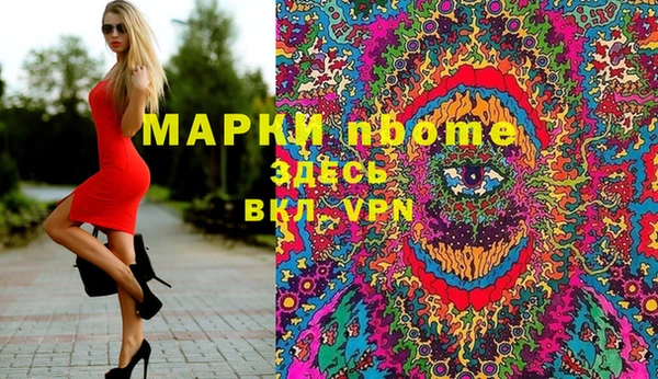 МДПВ Инсар