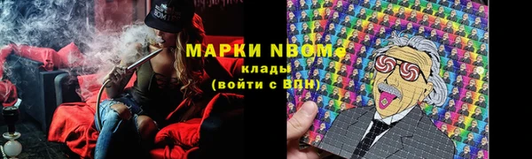 МДПВ Инсар