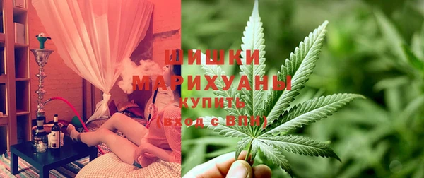 МДПВ Инсар
