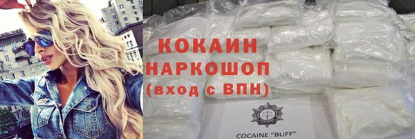 МДПВ Инсар