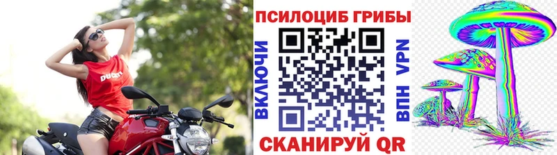 shop телеграм  Долгопрудный  Псилоцибиновые грибы MAGIC MUSHROOMS  KRAKEN ТОР 