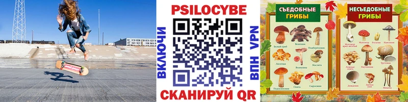 Галлюциногенные грибы Magic Shrooms Долгопрудный
